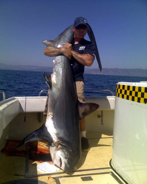 Sport Fishing Charter in Oceanside & San Diego California