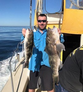 catching sea bass fish taxi