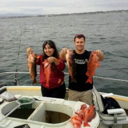 Catching rockfish southern ca